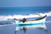 IIP Online Student Photography